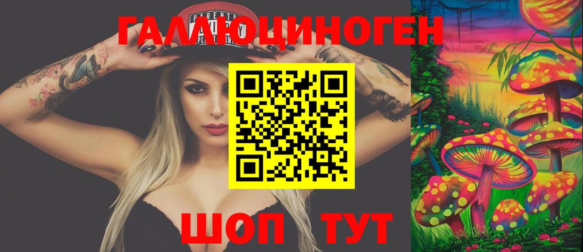 Псилоцибиновые грибы MAGIC MUSHROOMS  Вход с VPN  Галлюциногенные грибы Psilocybe  Кондопога 