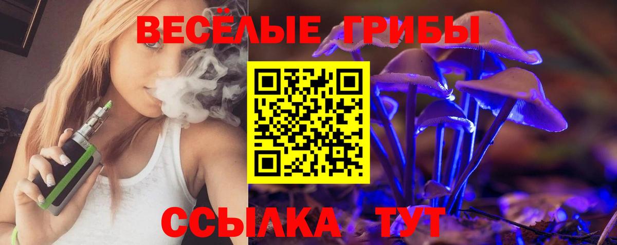 Галлюциногенные грибы мухоморы Кондопога